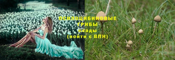 мет Верея